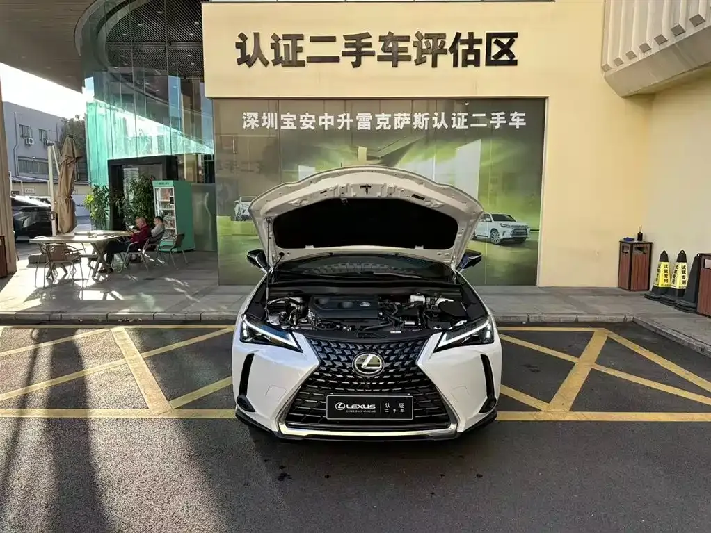 Lexus UX 2025 из CN, фото 5