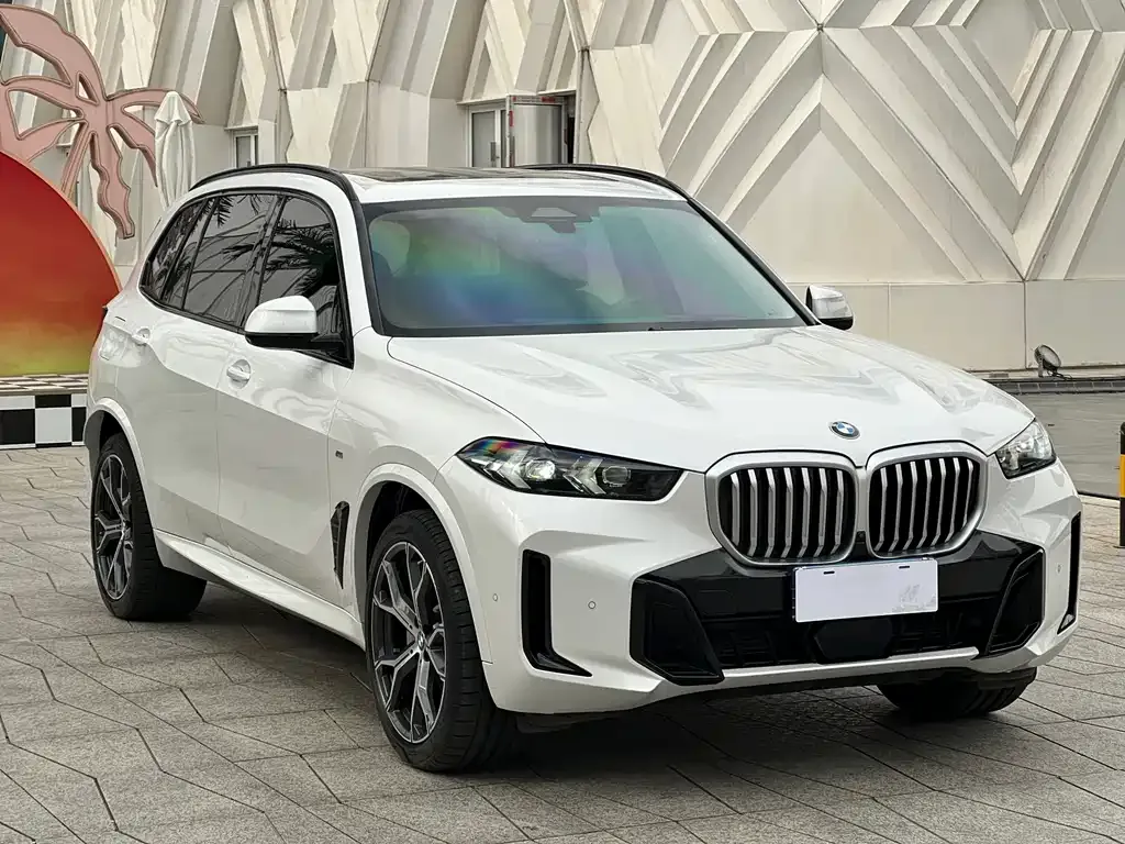 BMW X5 — фото 3