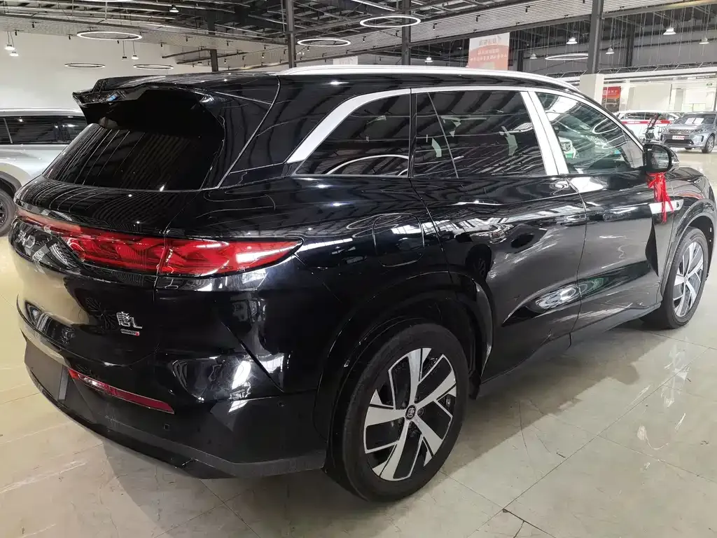 BYD Tang L 2025 из CN, фото 4