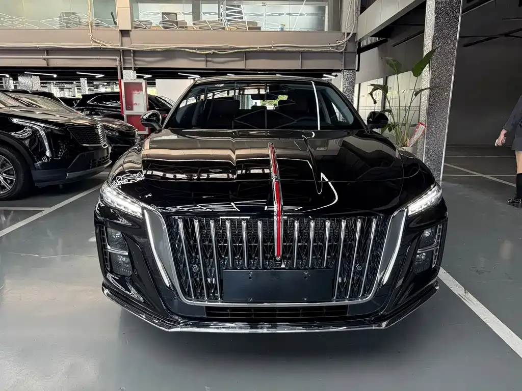 Hongqi H5 2024 из CN, фото 2