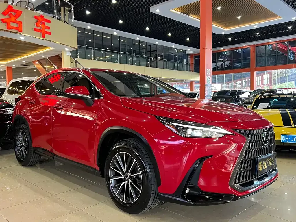 Lexus NX 2022 из CN, фото 3