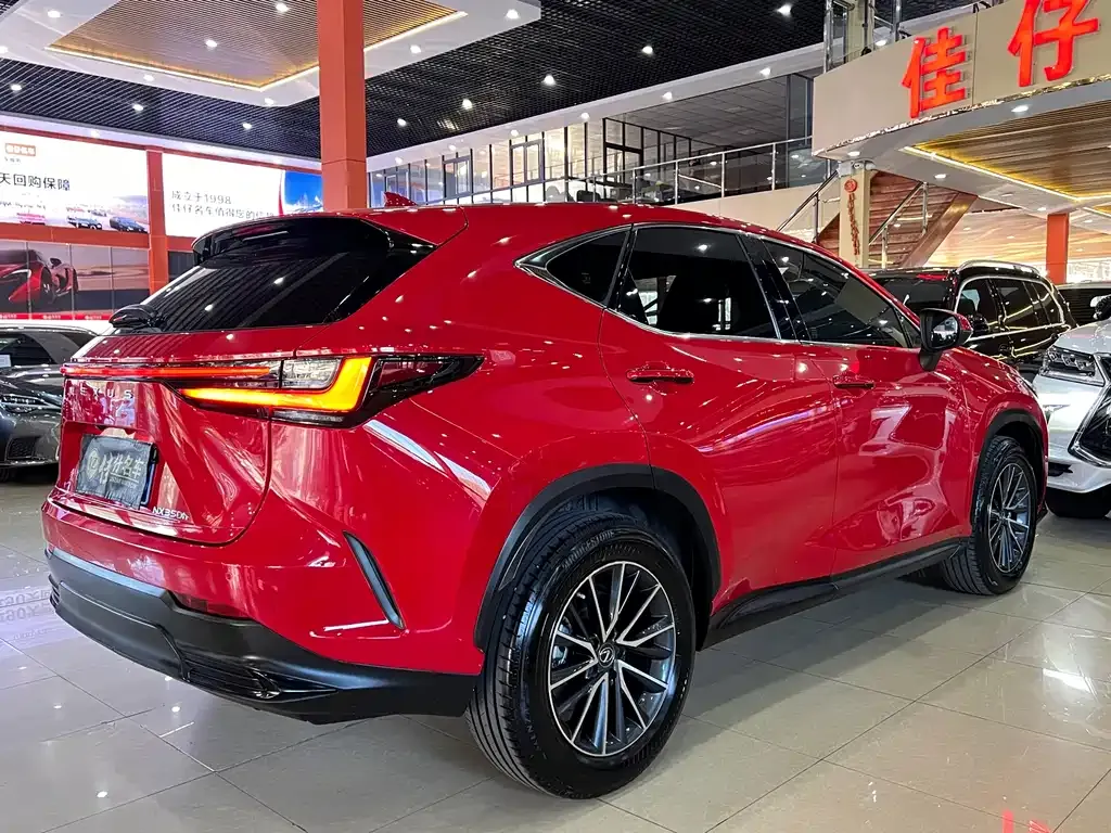 Lexus NX 2022 из CN, фото 5