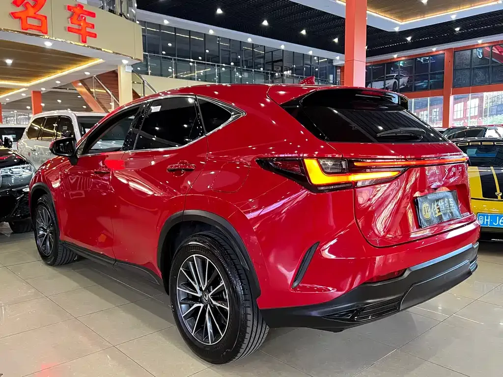 Lexus NX 2022 из CN, фото 6