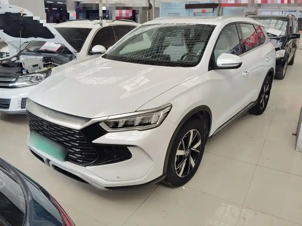 BYD Pro New Energy 2024 из CN, фото 1
