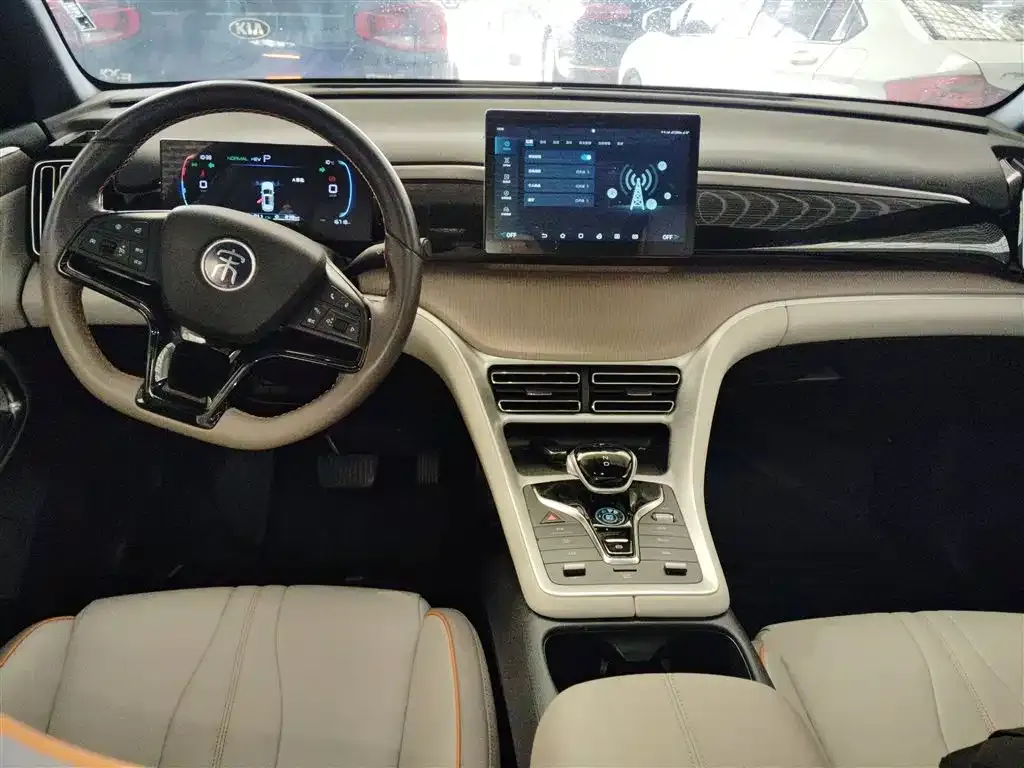 BYD Pro New Energy 2024 из CN, фото 10