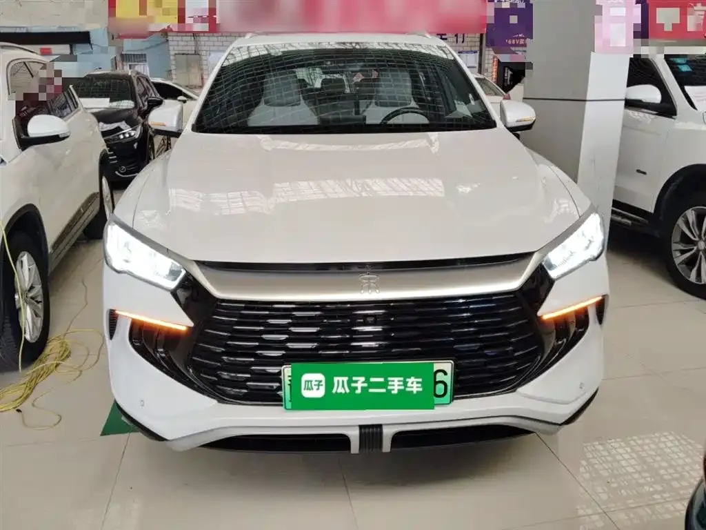 BYD Pro New Energy 2024 из CN, фото 3