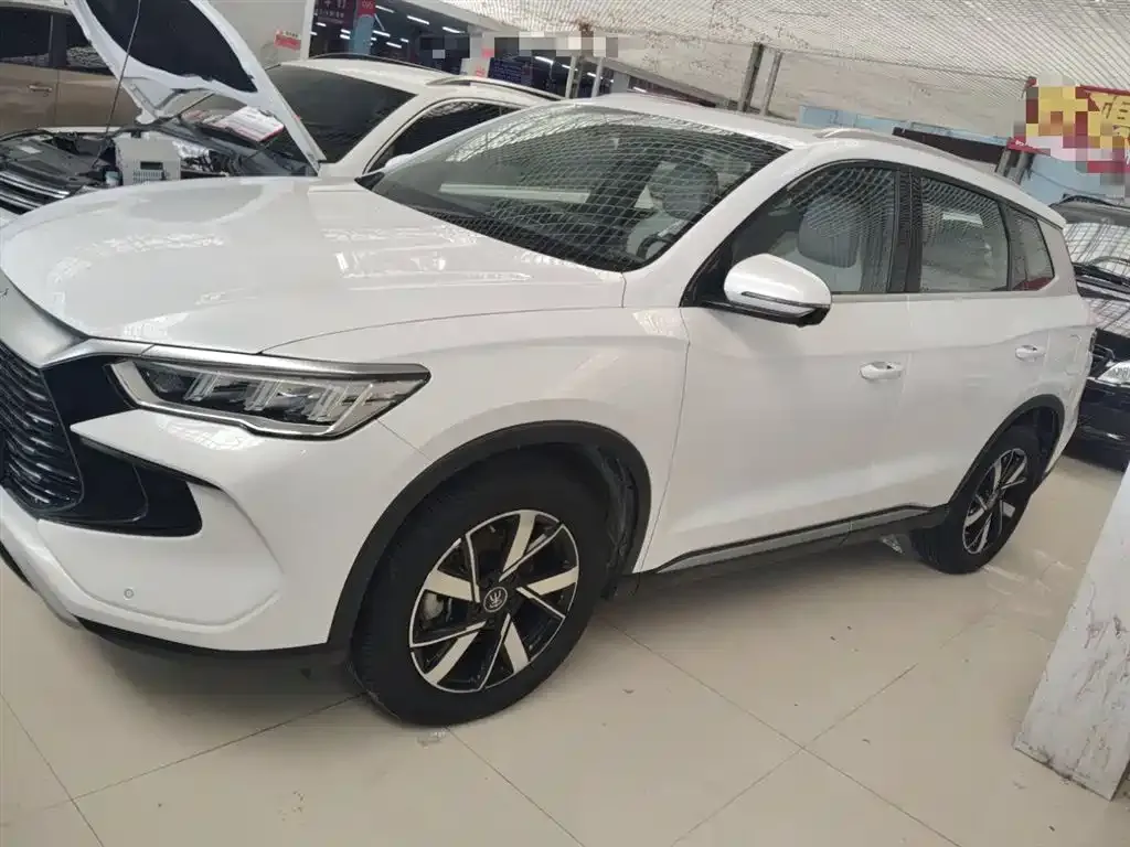 BYD Pro New Energy 2024 из CN, фото 5
