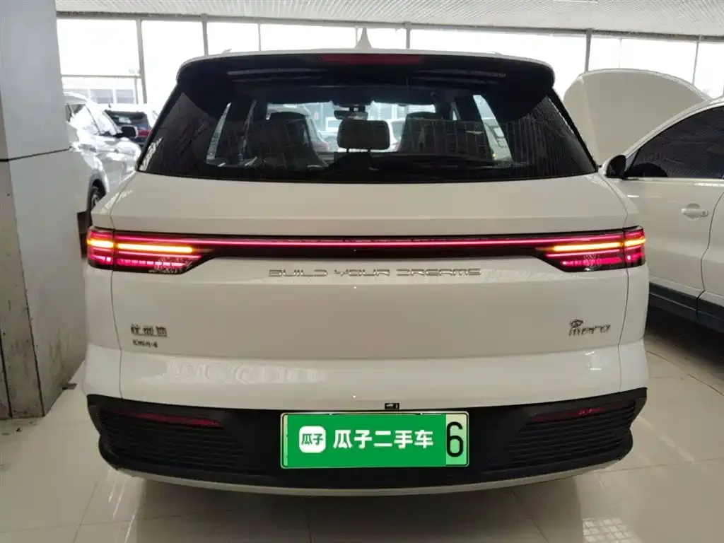 BYD Pro New Energy 2024 из CN, фото 6