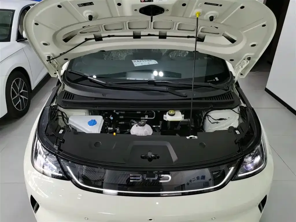 BYD Dolphin 2025 из CN, фото 10