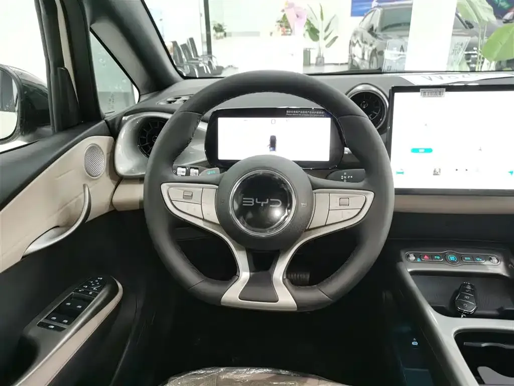 BYD Dolphin 2025 из CN, фото 3
