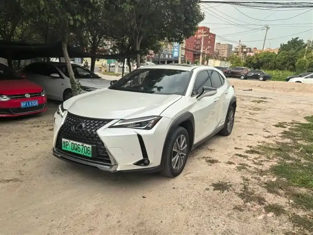 Lexus UX New Energy 2022 из CN, фото 1