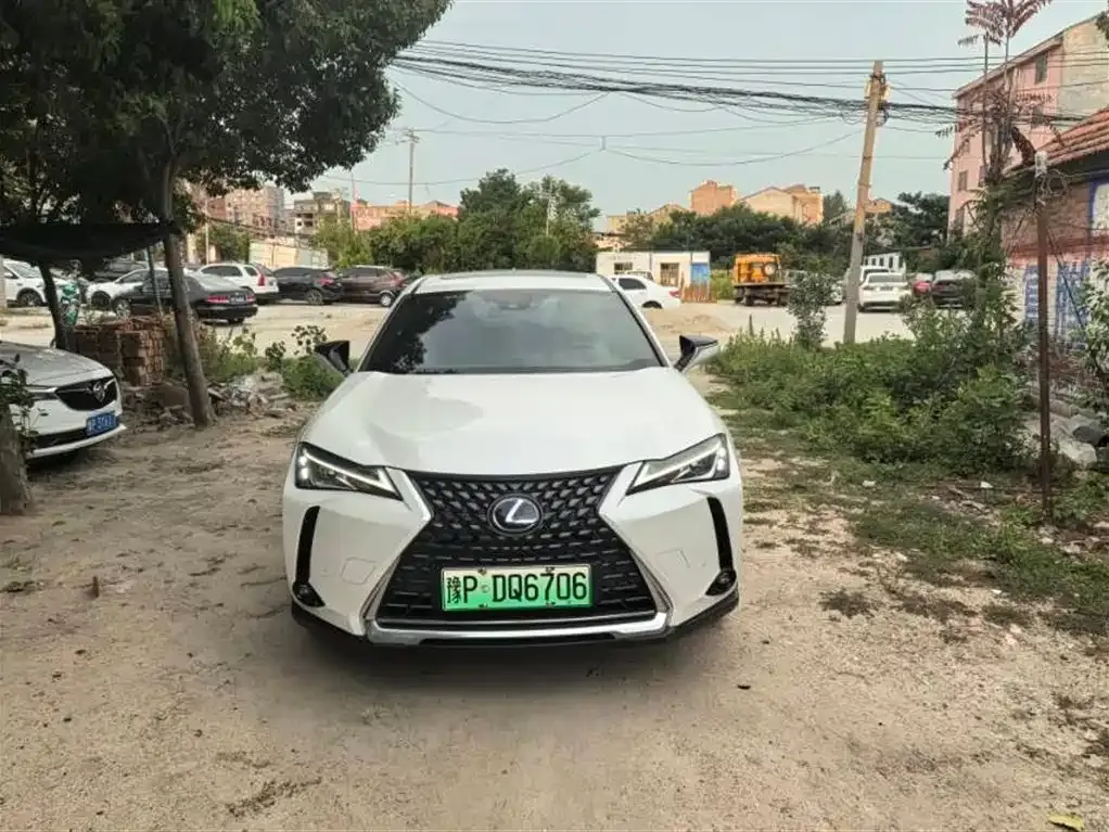 Lexus UX New Energy 2022 из CN, фото 2