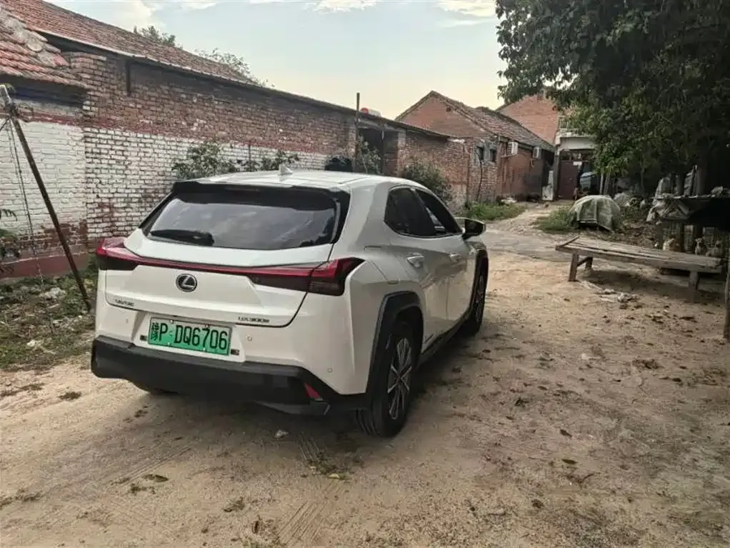 Lexus UX New Energy 2022 из CN, фото 5