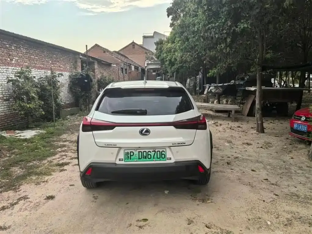 Lexus UX New Energy 2022 из CN, фото 6