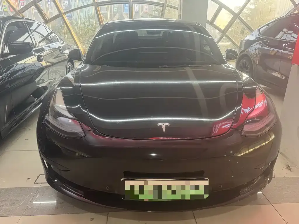 Tesla Model 3 2021 из CN, фото 2