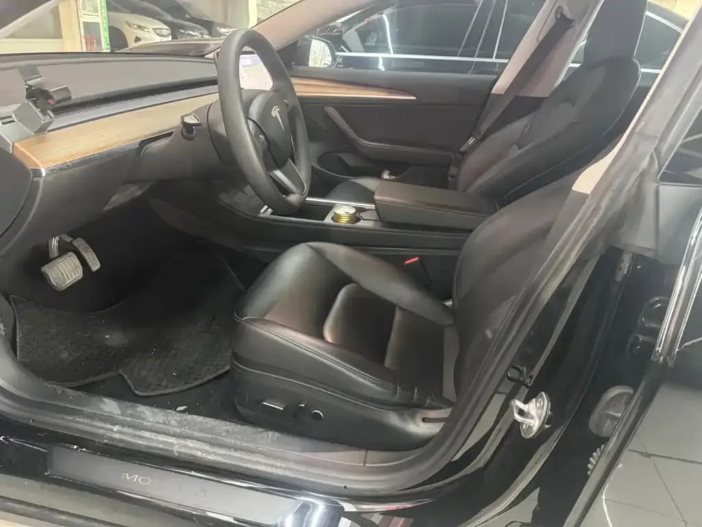 Tesla Model 3 2021 из CN, фото 4