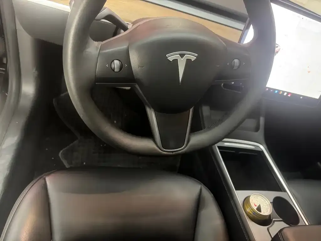 Tesla Model 3 2021 из CN, фото 6
