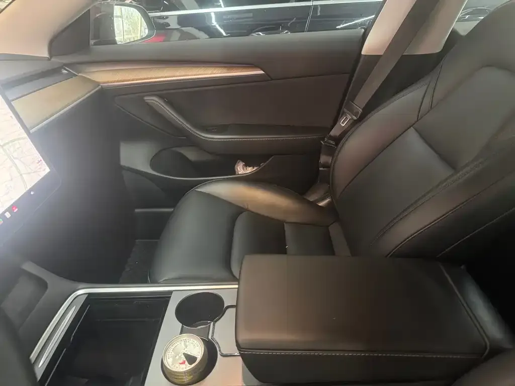 Tesla Model 3 2021 из CN, фото 7