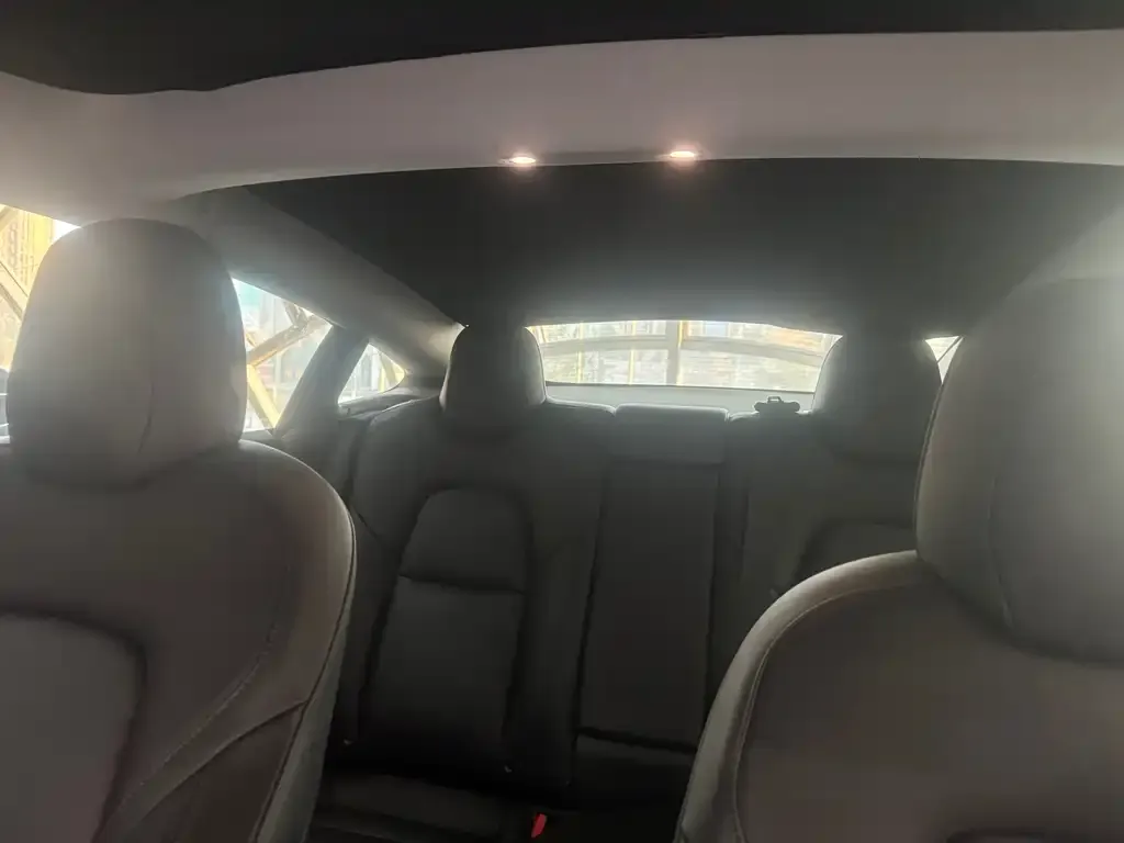Tesla Model 3 2021 из CN, фото 8