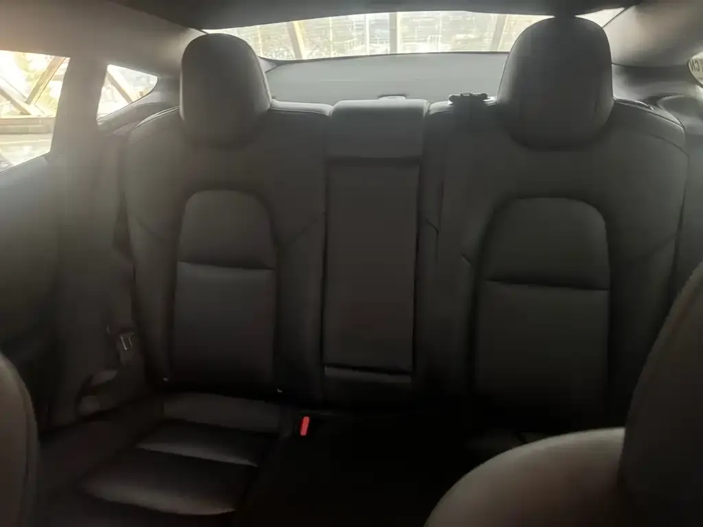 Tesla Model 3 2021 из CN, фото 9