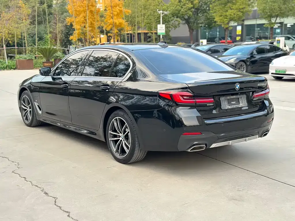 BMW 5 Series New Energy 2022 из CN, фото 9
