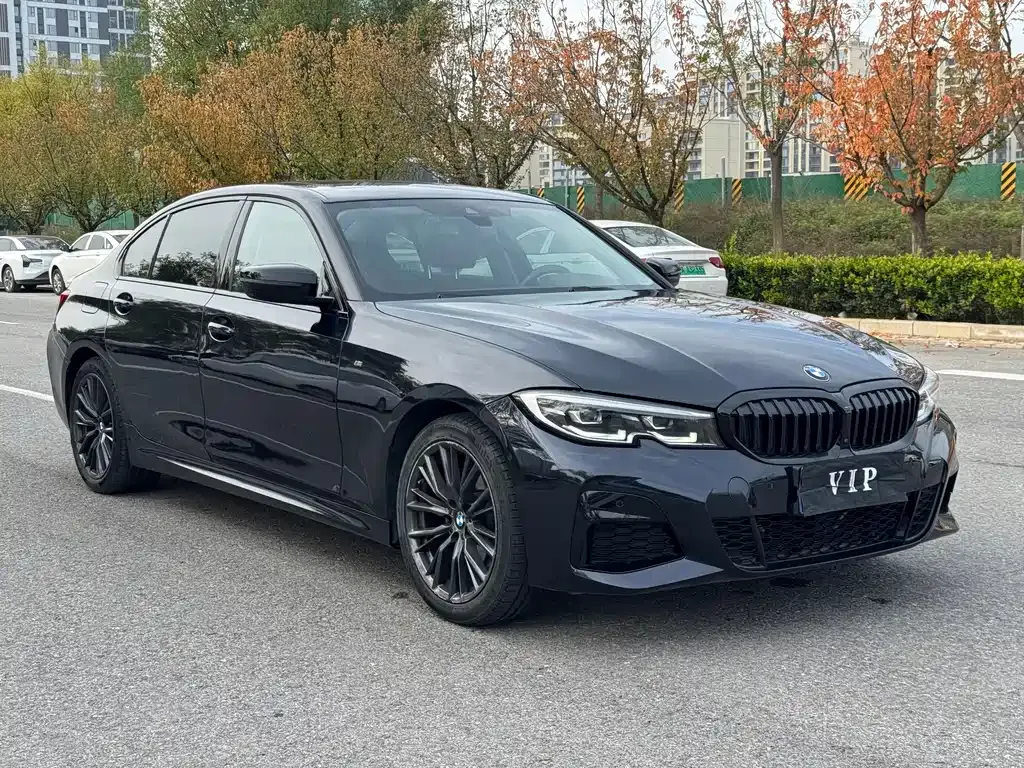 BMW 3 Series 2021 из CN, фото 3