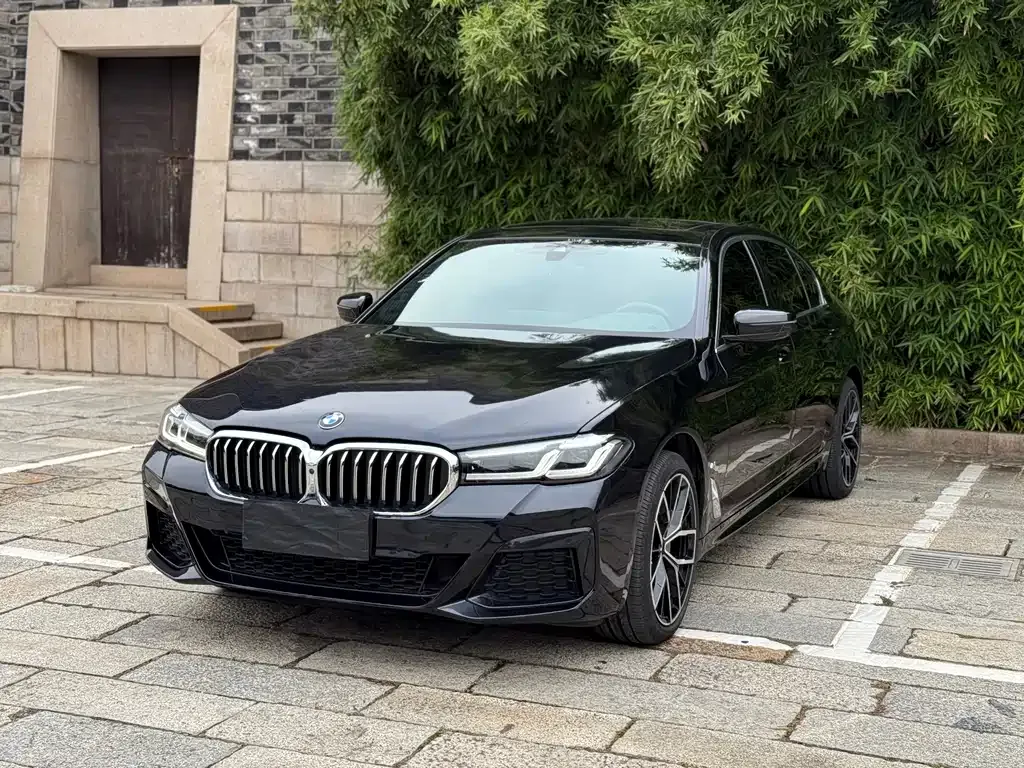 BMW 5 Series 2023 из CN, фото 1