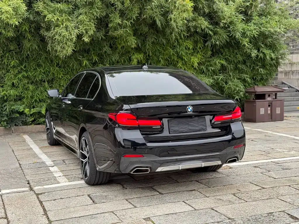 BMW 5 Series 2023 из CN, фото 10