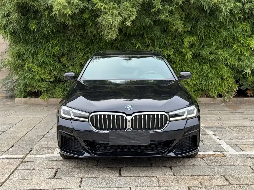 BMW 5 Series 2023 из CN, фото 2