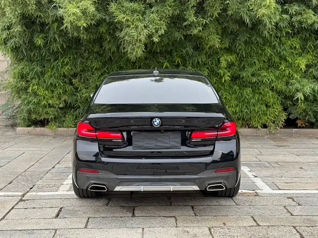 BMW 5 Series 2023 из CN, фото 9