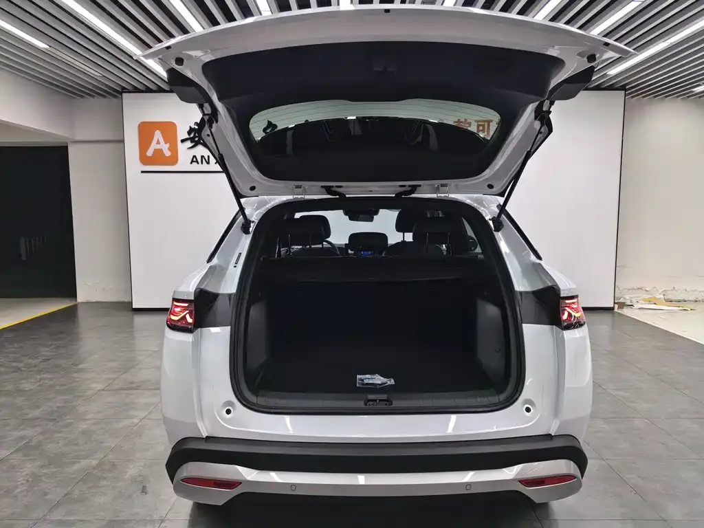 BYD L DM-i 2025 из CN, фото 5