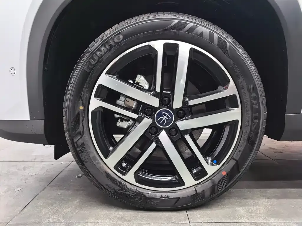 BYD L DM-i 2025 из CN, фото 6