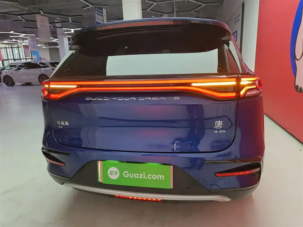 BYD Tang New Energy 2022 из CN, фото 6