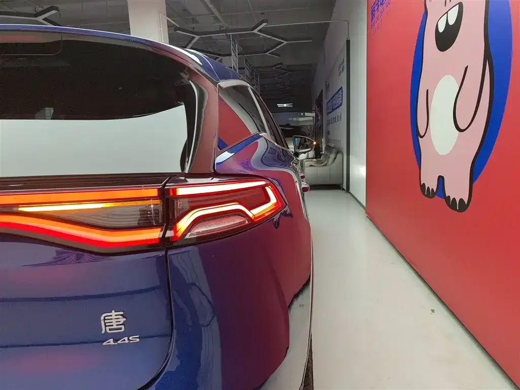 BYD Tang New Energy 2022 из CN, фото 8