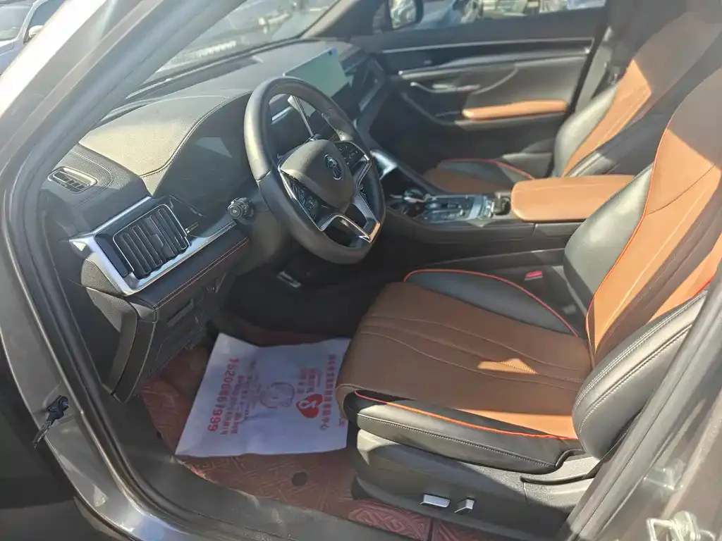 BYD PLUS 2021 из CN, фото 5