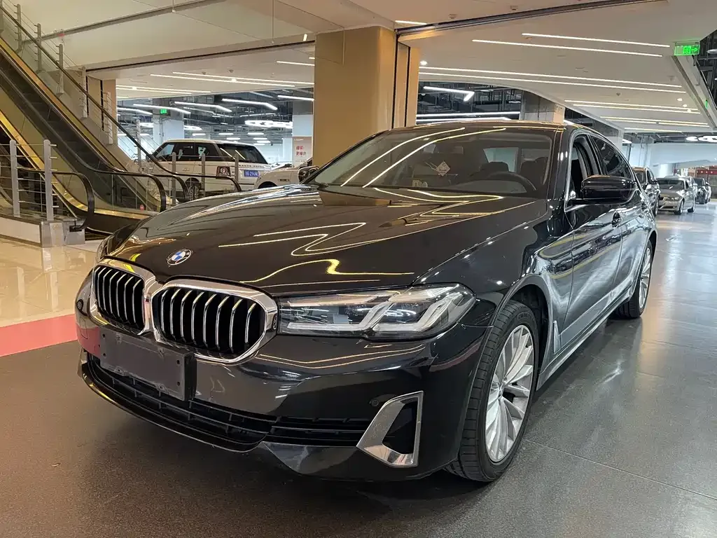 BMW 5 Series 2021 из CN, фото 1