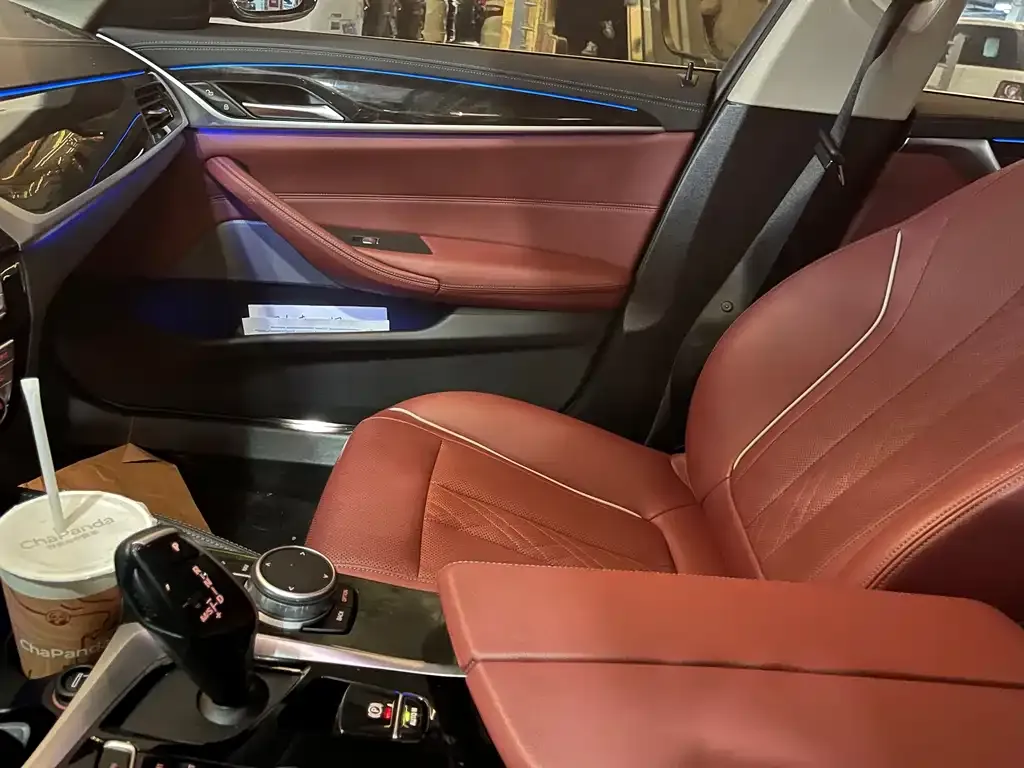 BMW 5 Series 2021 из CN, фото 10