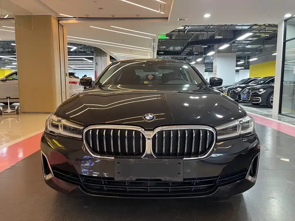 BMW 5 Series 2021 из CN, фото 2