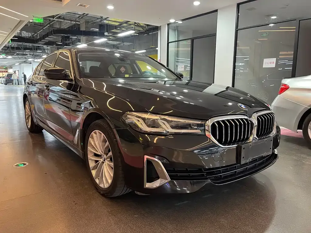 BMW 5 Series 2021 из CN, фото 3