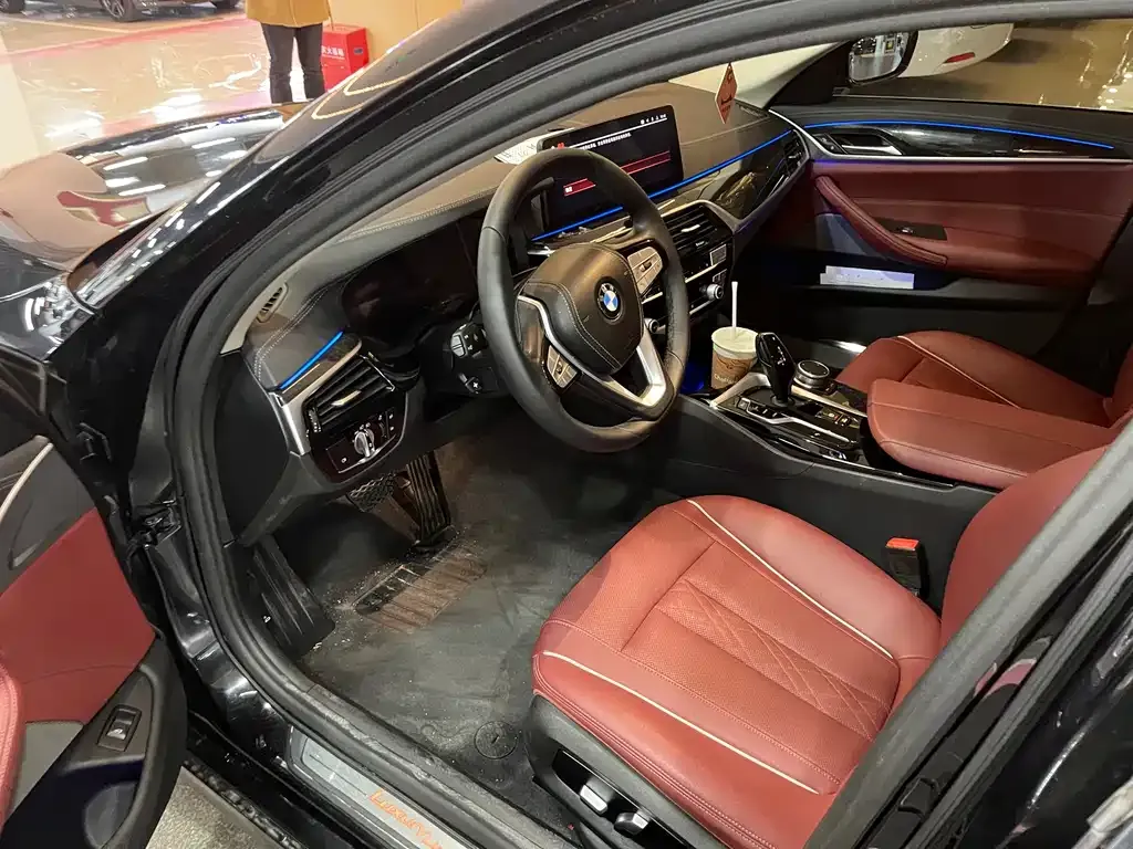 BMW 5 Series 2021 из CN, фото 5
