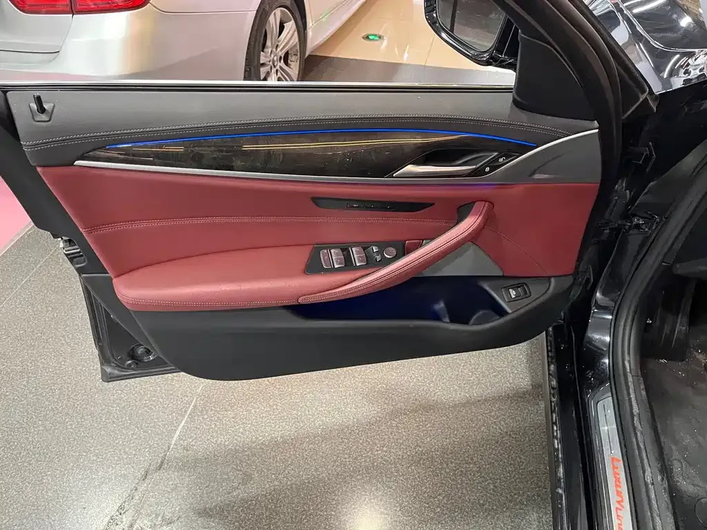 BMW 5 Series 2021 из CN, фото 6