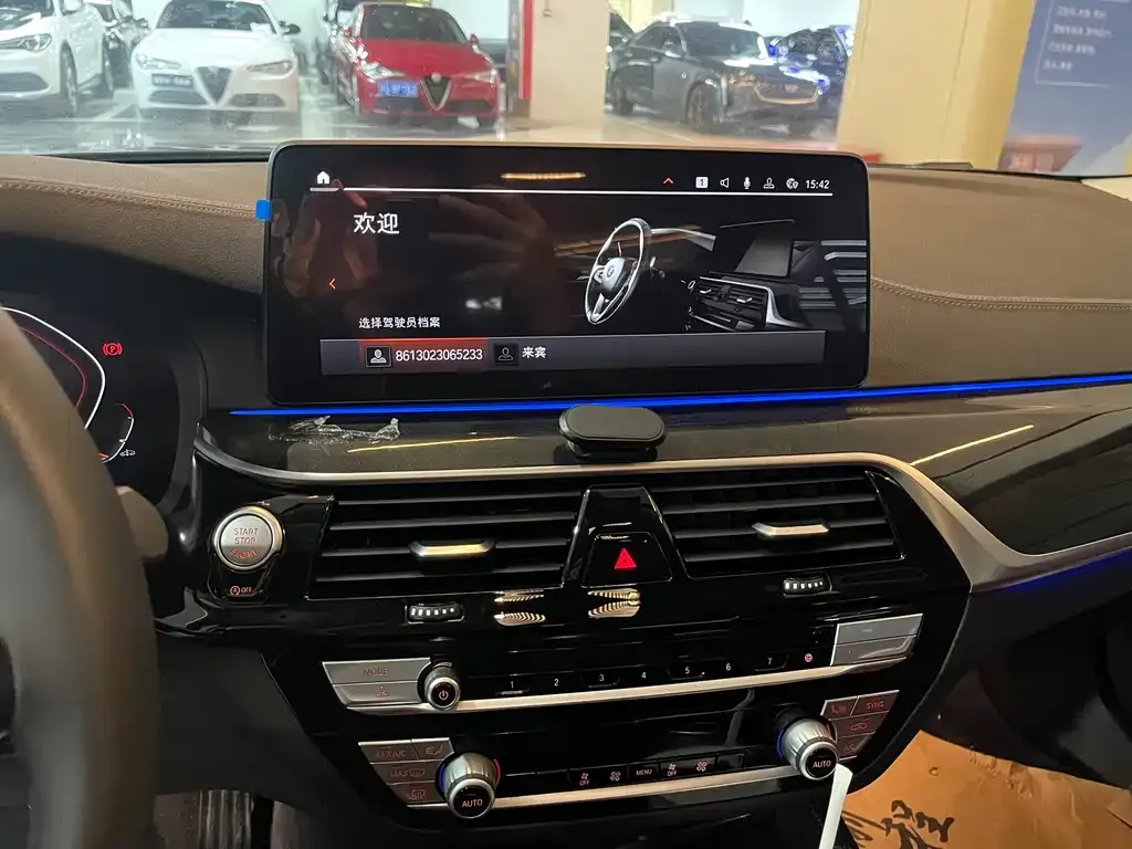 BMW 5 Series 2021 из CN, фото 8
