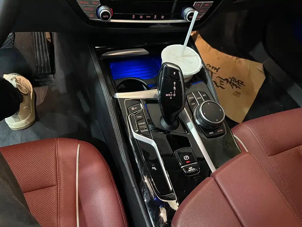 BMW 5 Series 2021 из CN, фото 9