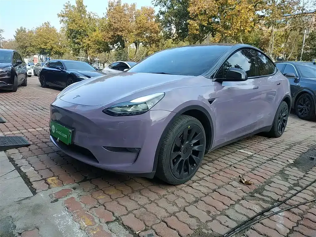 Tesla Model Y 2021 из CN, фото 1