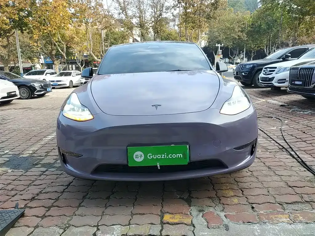 Tesla Model Y 2021 из CN, фото 3