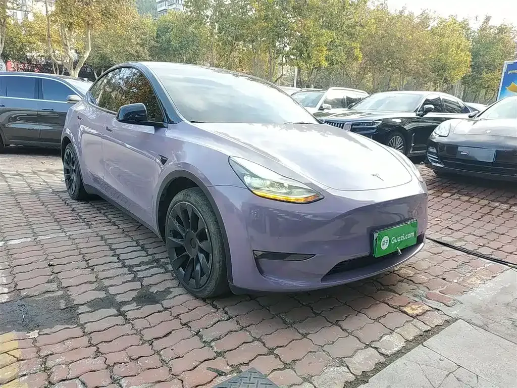 Tesla Model Y 2021 из CN, фото 4