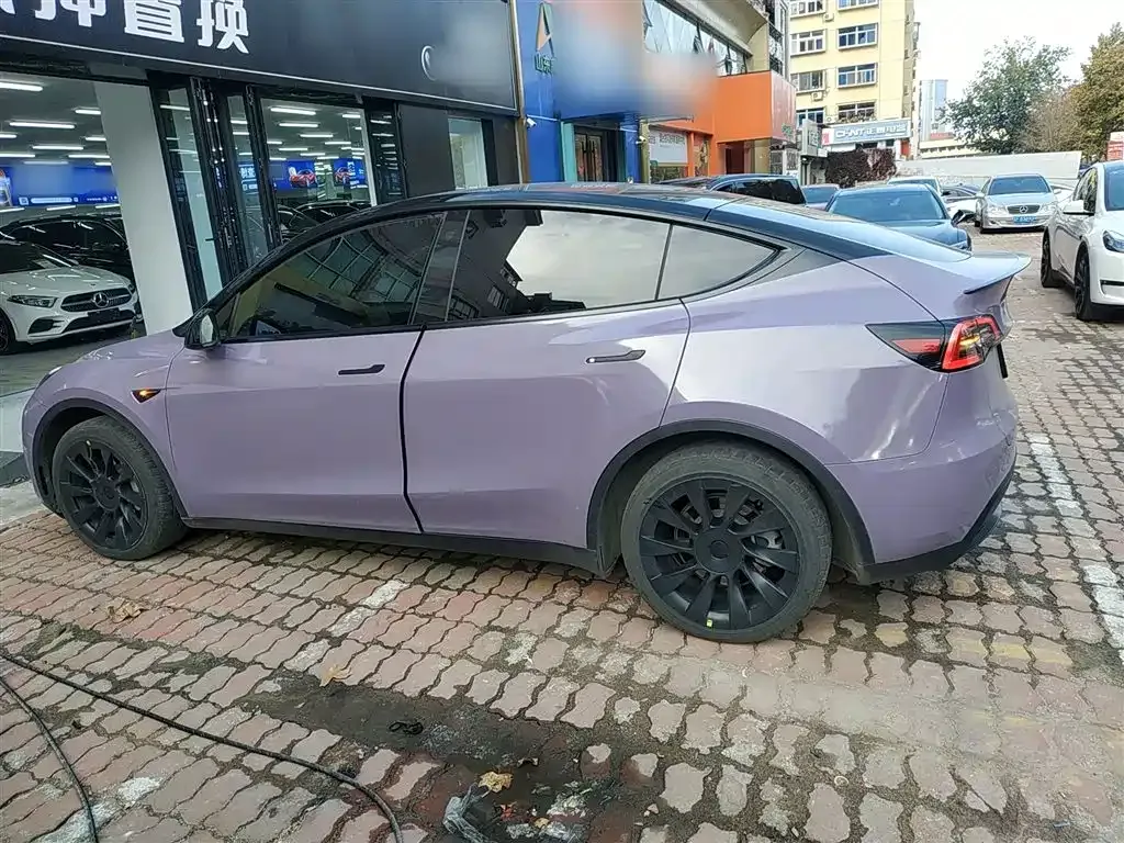 Tesla Model Y 2021 из CN, фото 5