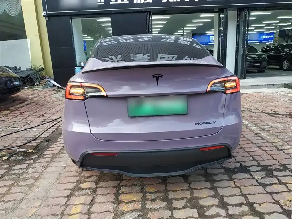 Tesla Model Y 2021 из CN, фото 6