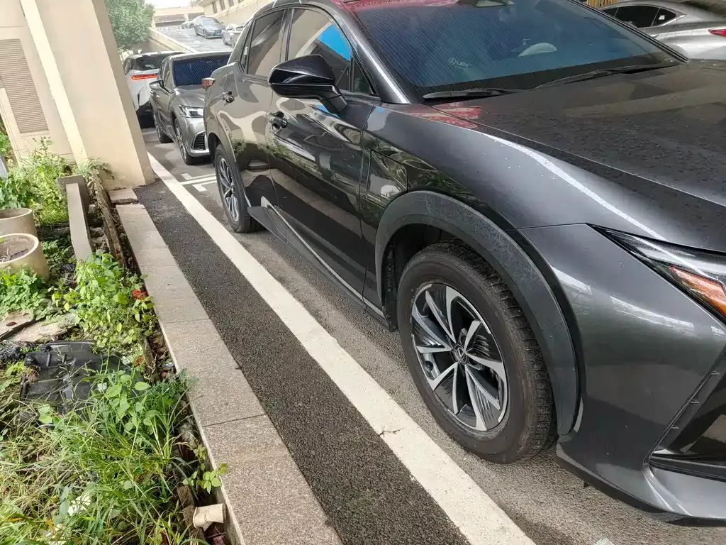Lexus RZ 2023 из CN, фото 2