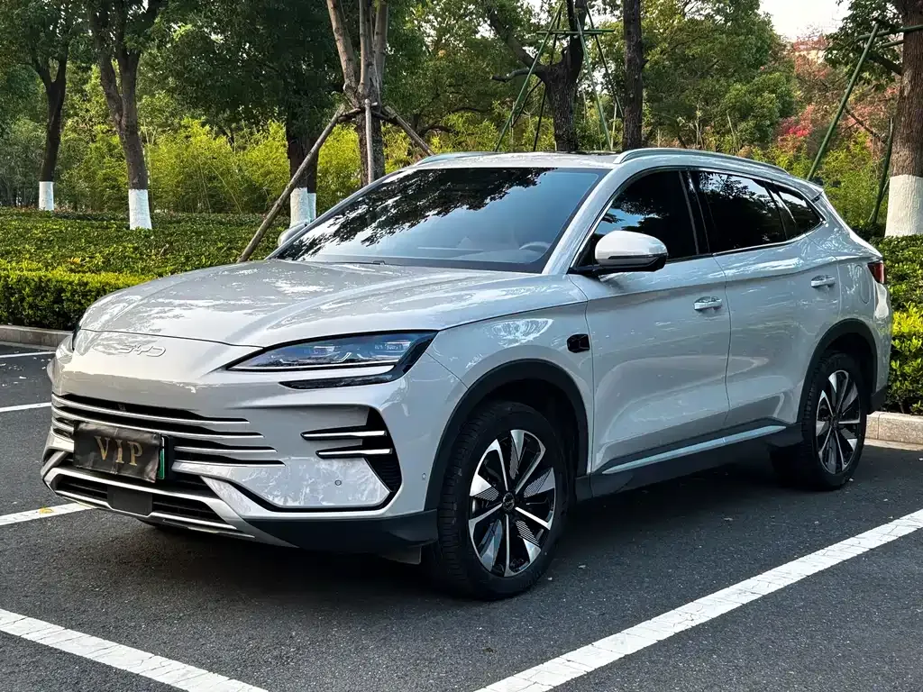 BYD PLUS New Energy 2025 из CN, фото 1